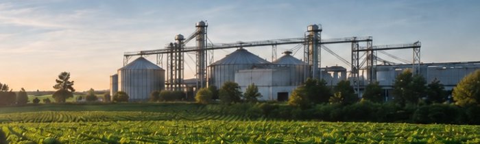 Lavoura ao amanhecer com silos e estrutura de armazenagem ao fundo